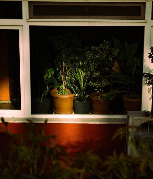 Simple Tips for Improving Indoor Air Quality in Your Home