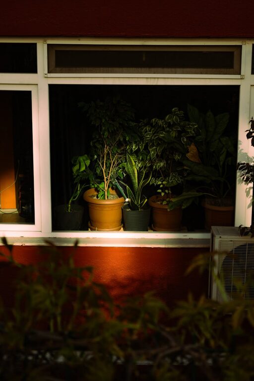 Simple Tips for Improving Indoor Air Quality in Your Home