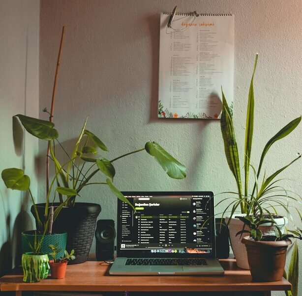 Tips for Creating a Relaxing Home Workspace to Boost Productivity and Comfort